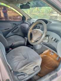 A picture of Vitz