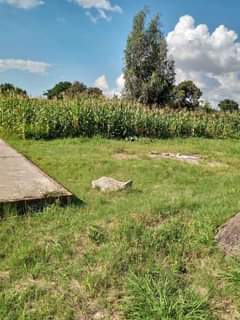 stands