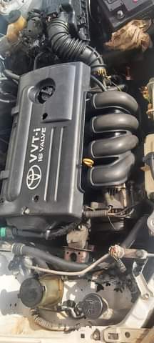 Nana Y.