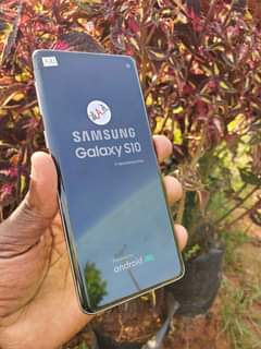 A picture of Samsung Galaxy S10