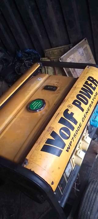 A picture of Wolf power wf7600E