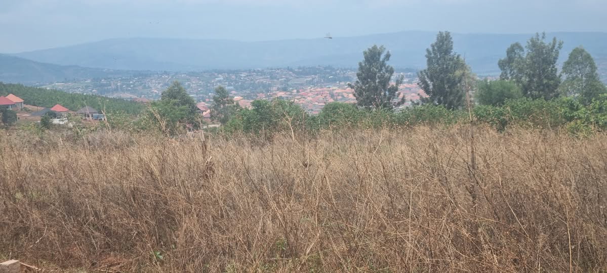 land