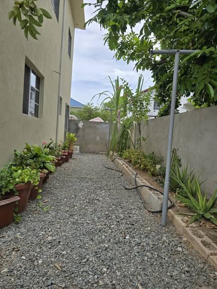 house for rent