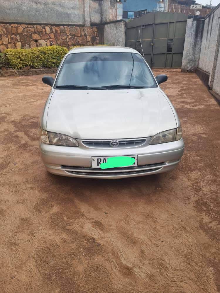 used toyota corolla
