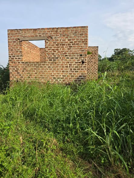 houses matugga