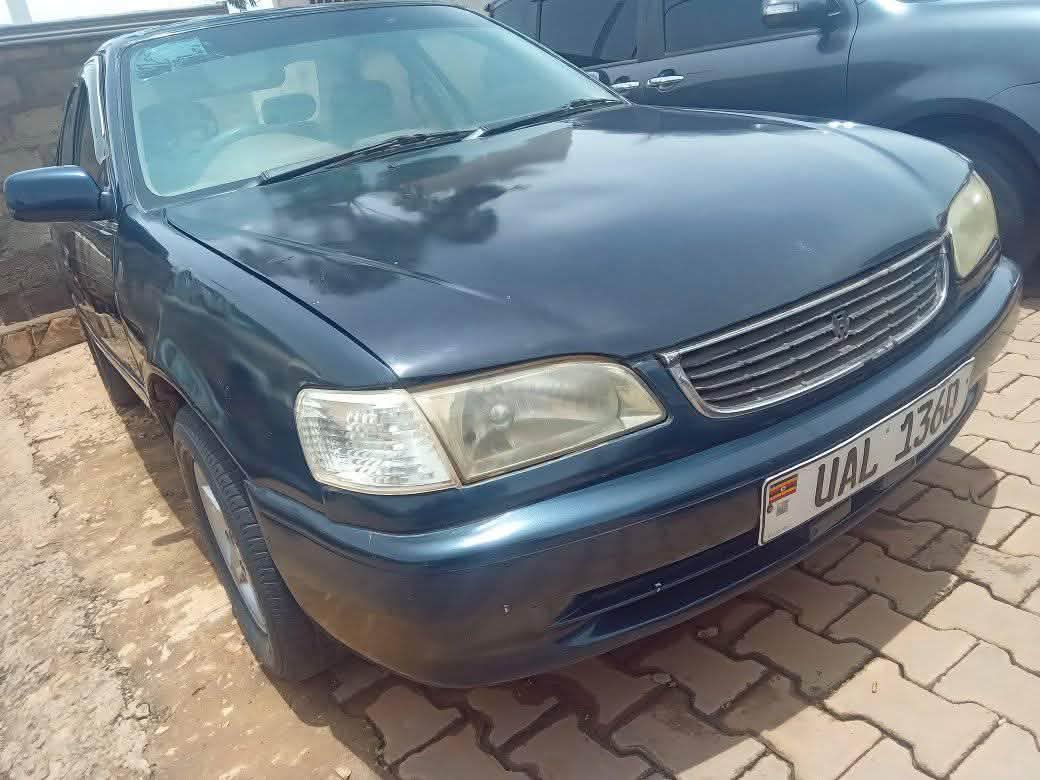 A picture of Kikumi kumi110