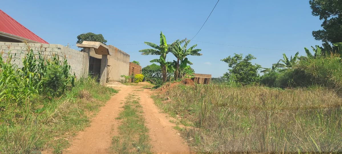 A picture of TITLED PLOTS AT MUKONO AT ONLY 7M UGX READYTITLED