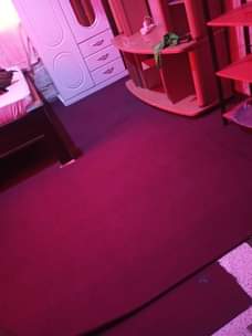A picture of Capet