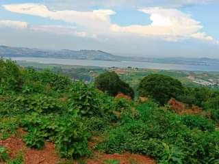 A picture of Lake view plot on quick sale