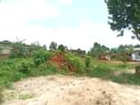 A picture of Buloba nabukalu plot on quick sale