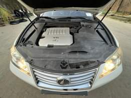 A picture of Only White Bird in NIGERIA Just one lucky Buyer 11