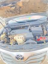 A picture of Distress sales Muscle sliver Year 2009 Flash on first body
