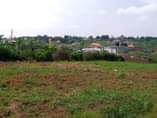 A picture of Matugga kanyanda Namakata plots