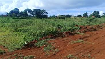A picture of AFFORDABLE PLOTS FOR SALE IN BUKALANGO WAKISO.