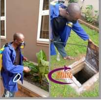 A picture of Professional Cleaning Services