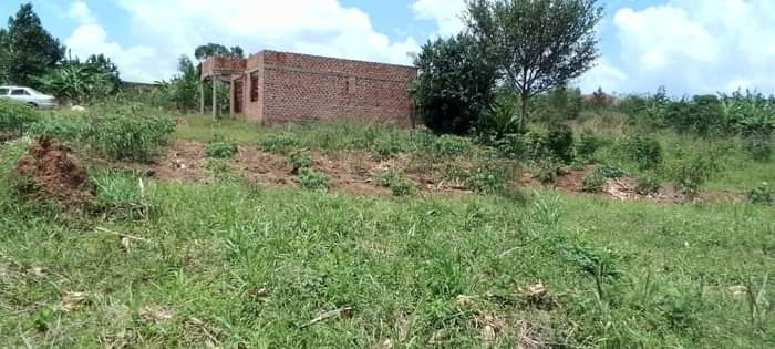 A picture of 50 100 plots at 13m Matugga Kiwebwa 1.5km off Tarmac