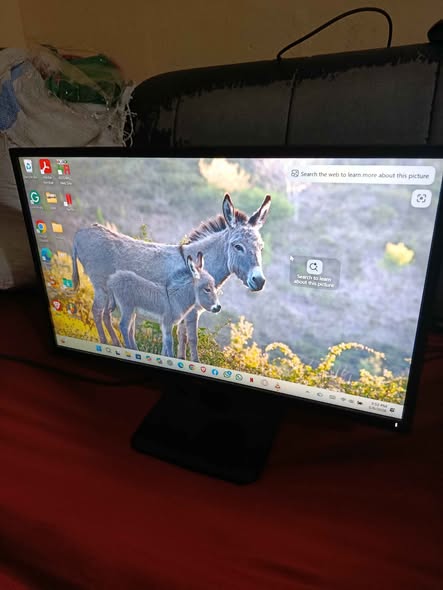 pc monitors