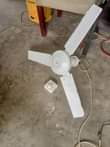 A picture of Feni LYONS..iko poa ..haitaji maelezo mengi..0785107372...45k