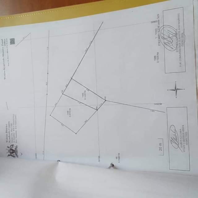 A picture of Land