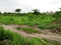 A picture of KIWANJA KINAUZWA KIBAMBA KIBWEGERE KWA MAZENGO TSH 2 500 000