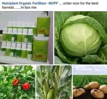 fertilizer