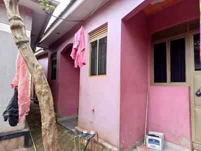 A picture of Rentals on sale in Salama Munyonyo