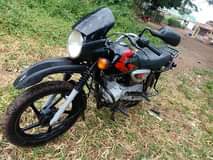 A picture of BOXER KALI SANA BEI 1550000