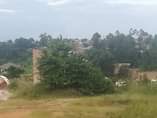 A picture of Plot