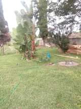 property hatfield