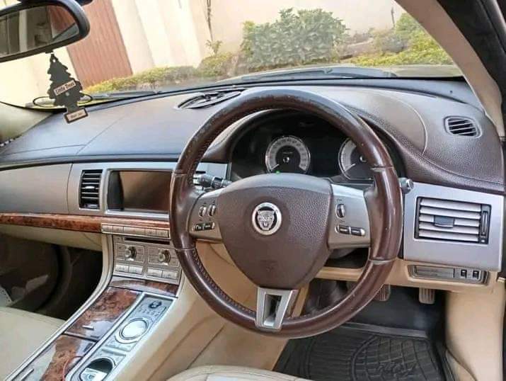 jaguar