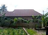 A picture of Nyimba