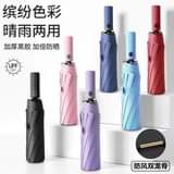 A picture of TORCH LIGHT UMBRELLA