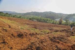 A picture of New Kakiri Town Estate