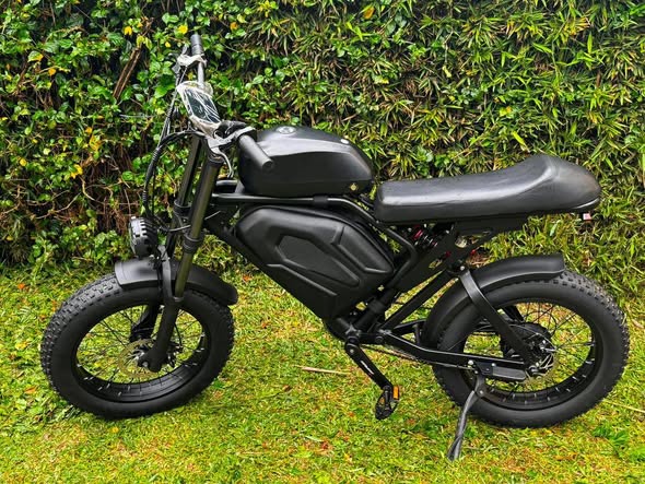 A picture of Electric bikes