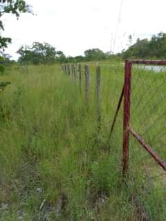 stands