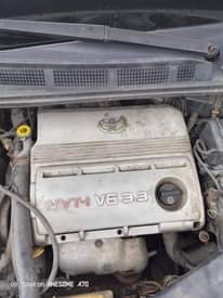 A picture of Registered sienna first body