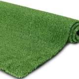 grass