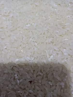 A picture of Super rice