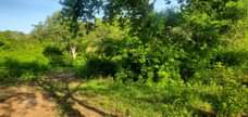 A picture of SHAMBA LA EKARI 20 LINAUZWA MBWEWE BAGAMOYO PWANI KWA MILIONI