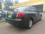 A picture of Subaru Anesis
