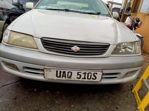 Cars256