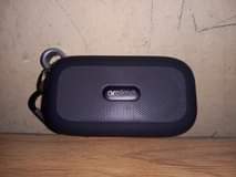 A picture of Oraimo palm