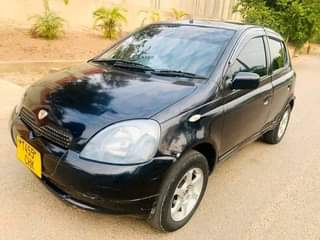A picture of Vitz