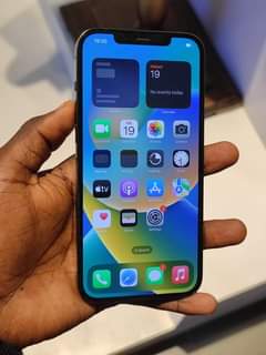 A picture of IPhone 12 pro max