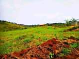 A picture of KAKIRI KIKANDWA ESTATE 50BY100 WITH READY LAND TITLE AT 10M