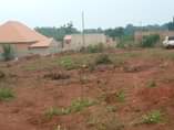 A picture of Matugga kiweebwa plots from 1 m shs