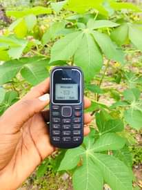 A picture of Nokia 1280