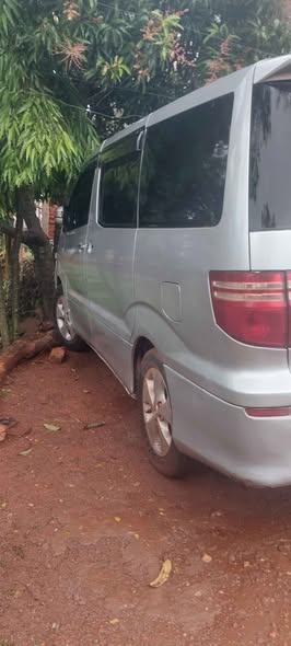 A picture of Alphard