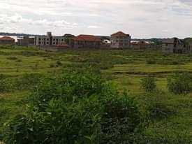 A picture of Plot