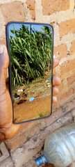 A picture of Samsung a03 core